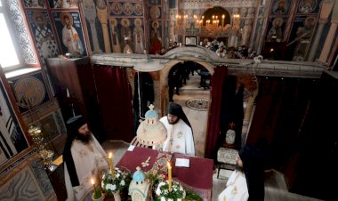 ИСЦЕЉЕЊЕ ТУМОРА ГРЛИЋА МАТЕРИЦЕ ( 17.07.2020 )