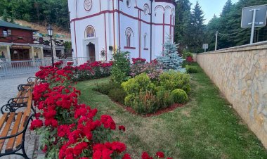 Исцељена константна  упала ушију детету (04.08.2022.)