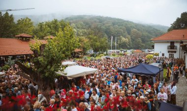 Успешна операција хематома у глави молитвама Туманским Светитељима (16.09.2022.) 