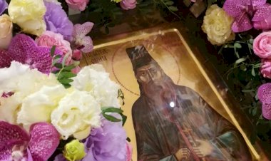 Буђење из коме (3.03.2023.)