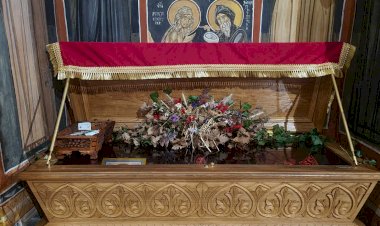 Исцељење канцера дебелог црева са метастазама (11.03.2023.)