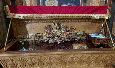 Исцељење бебе од сепсе и цисте у глави ( 11.02.2023.)