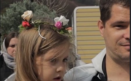 Цвети у Туману